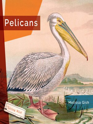 cover image of Pelicans